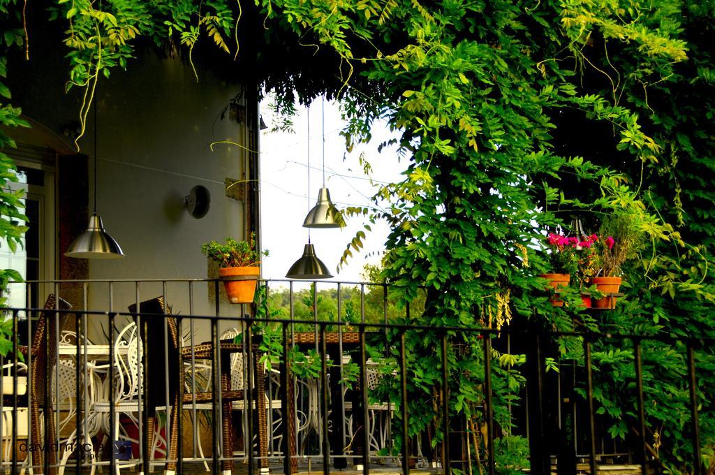 Almazara De San Pedro (Adults Only) Pension Eljas Buitenkant foto