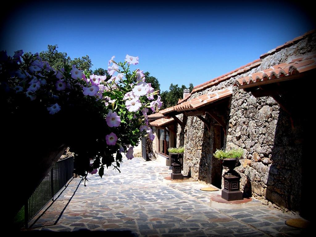 Almazara De San Pedro (Adults Only) Pension Eljas Buitenkant foto