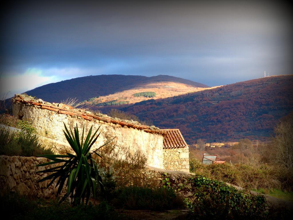 Almazara De San Pedro (Adults Only) Pension Eljas Buitenkant foto